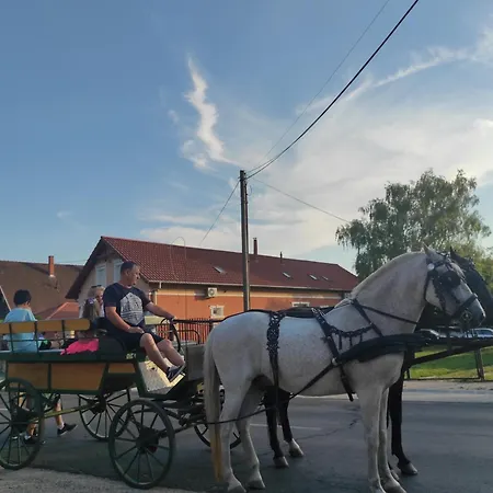 Szofi Vendeghaz 펜션 *