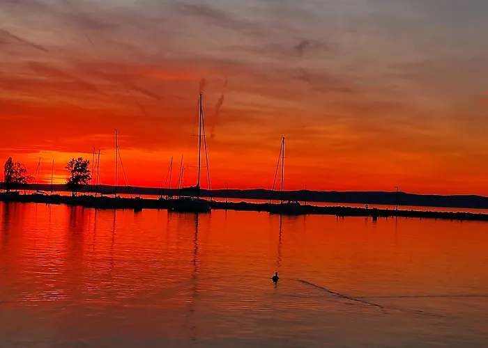 Szofi Vendeghaz Kereki