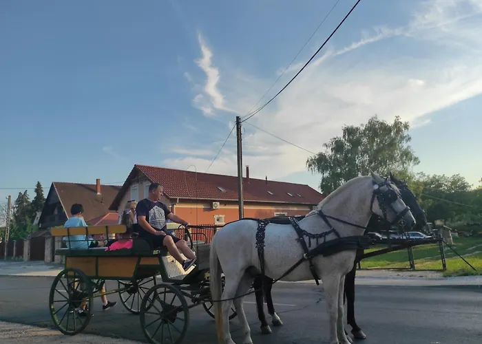 Szofi Vendeghaz Prázdninový dům *