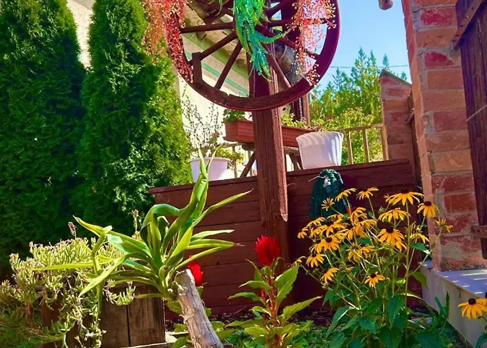 Szofi Vendeghaz Kereki